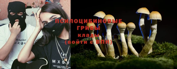 соль ск Инта