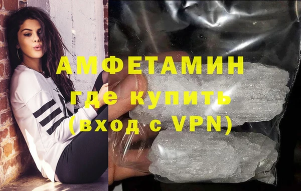 гидра Каменногорск