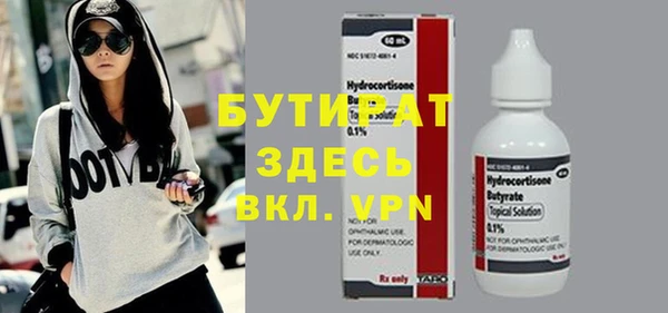 дмт Каменка