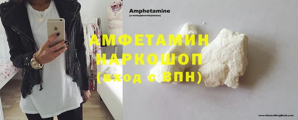 дмт Каменка