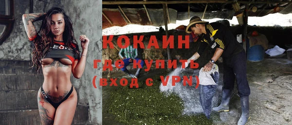 трава Иннополис