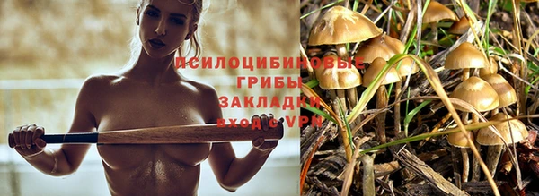 кокаин премиум Инсар