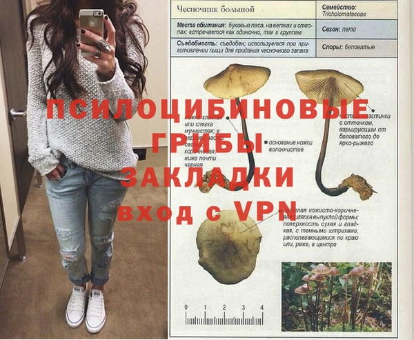 трава Иннополис