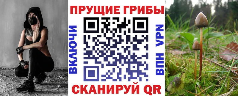 Купить где  Туапсе  Галлюциногенные грибы GOLDEN TEACHER 